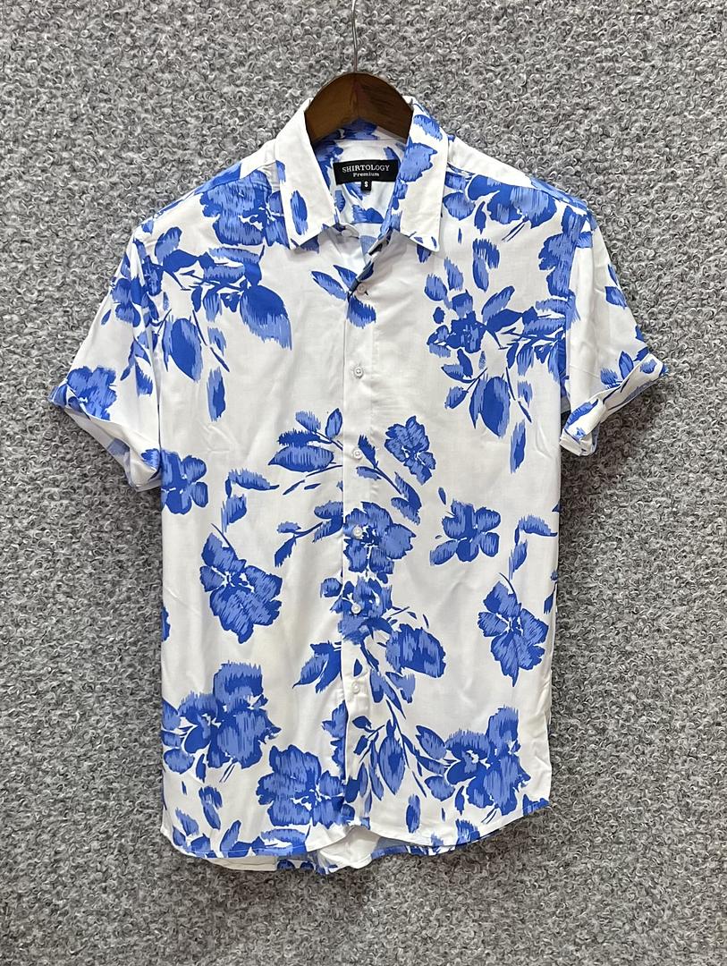 Picture of Hawaii Half Print 51