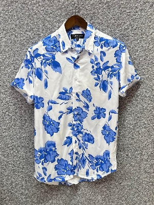 Picture of Hawaii Half Print 51