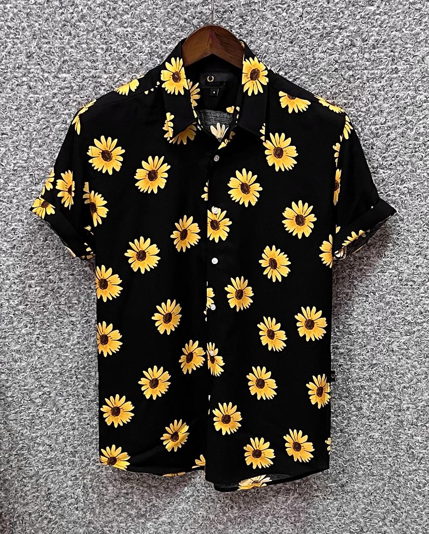 Picture of Hawaii Half Print 56