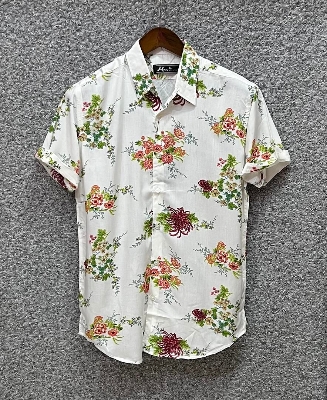 Picture of Hawaii Half Print 65