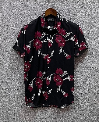 Picture of Hawaii Half Print 69