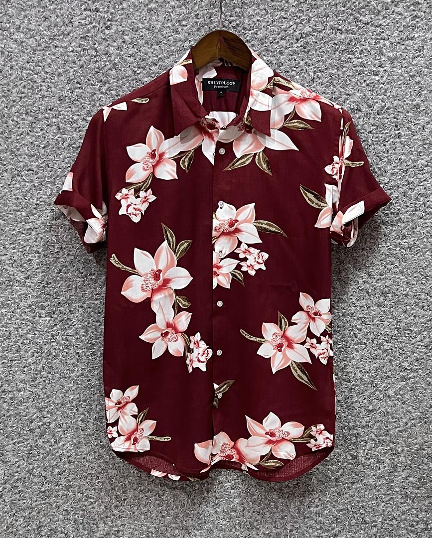 Picture of Hawaii Half Print 71