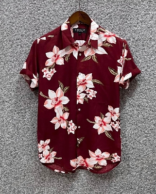 Picture of Hawaii Half Print 71