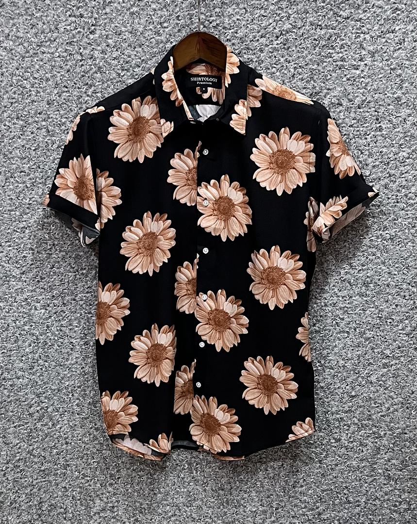 Picture of Hawaii Half Print 73