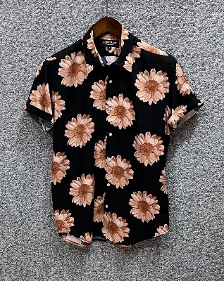 Picture of Hawaii Half Print 73