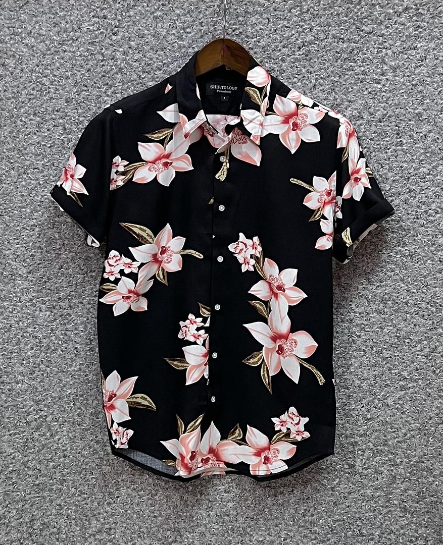 Picture of Hawaii Half Print 75