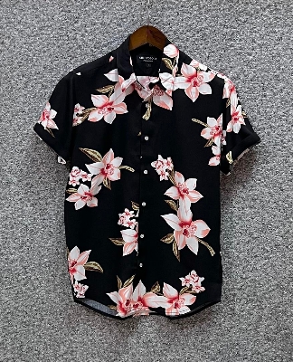 Picture of Hawaii Half Print 75