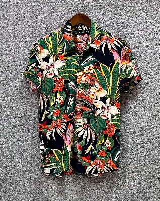 Picture of Hawaii Half Print 82