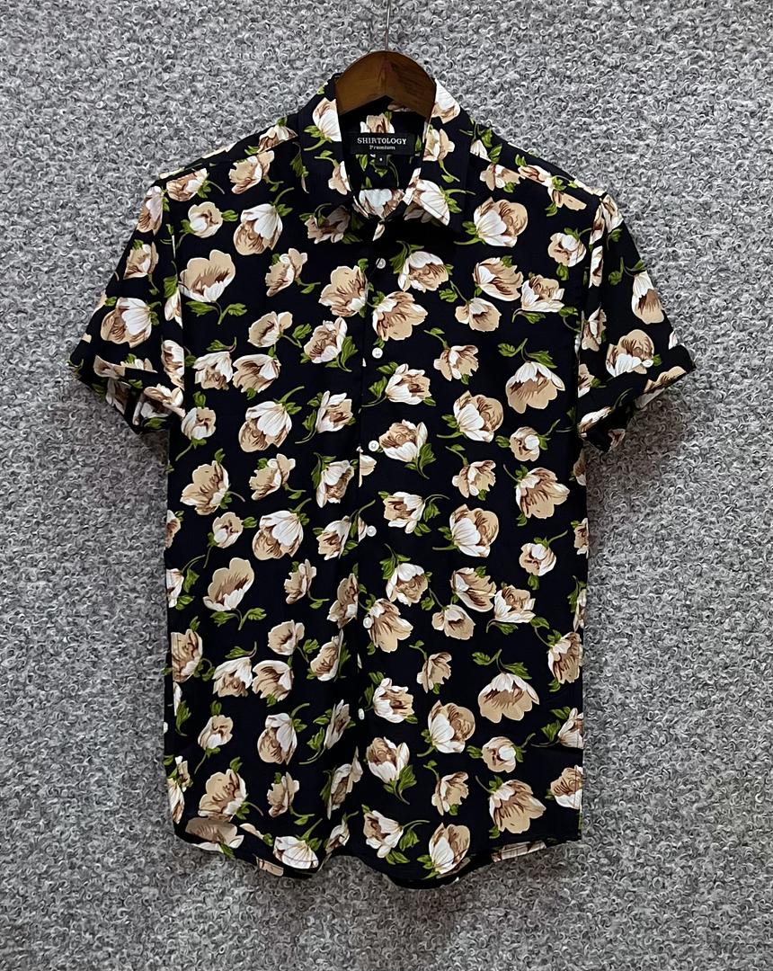 Picture of Hawaii Half Print 87