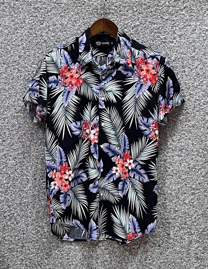 Picture of Hawaii Half Print 88