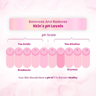 Picture of EELHOE ROSE WATER TONER by EELHOE Glycerin Hydrating Facial Mist - Dry Combination Skin Care 100% Organic Natural Moroccan Rosewater (Chemical Free)