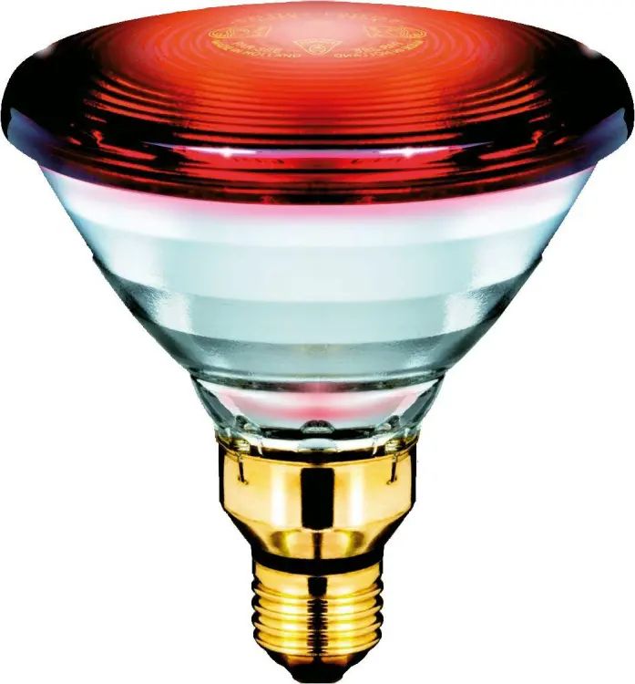 Picture of Philips Infrared Lamp BULB-150W Low