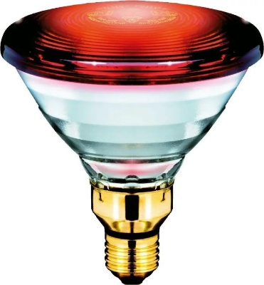 Picture of Philips Infrared Lamp BULB-150W Low