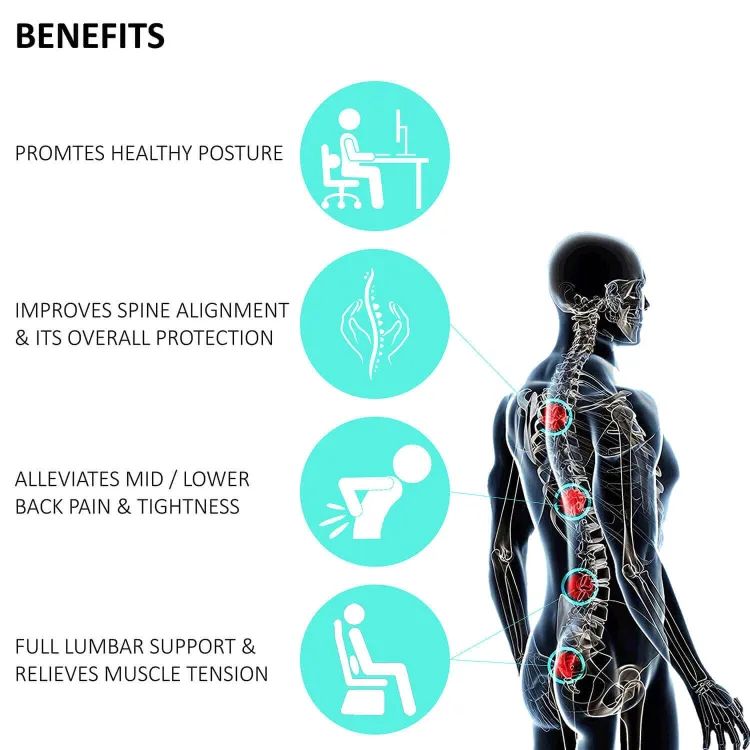 Picture of Spine Lumber Roll Cushion For Lower Back Pain - Car Seat & Office Chair (35Cm X 17Cm X 8Cm) Adjustable Belt & Washable Cover