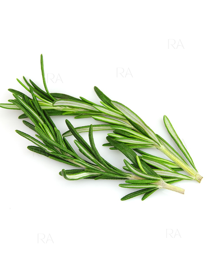 Picture of Afram Rosemary Leaves -20g Rosemary Leaves
