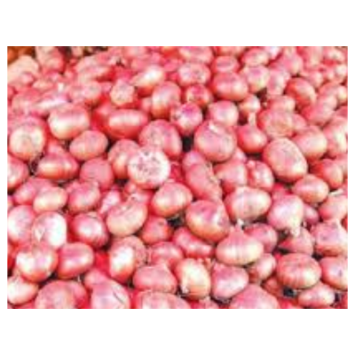Picture of Afram Onion powder -50g Onion Gura