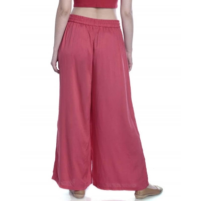 Picture of Fashionable Palazu  for women