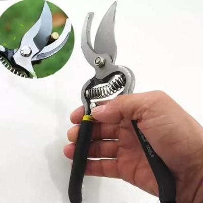 Picture of Professional 8 Inch Garden Scissors, Fruit Tree Pruning Shears Bonsai Pruners Grafting Cutter Garden Tools