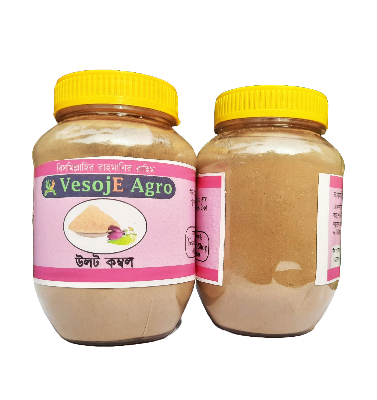 Uloatcombol Powder ( উলট কম্বল গুড়া) 100gm VesojE Agroonline shop bangladeshothoba.com