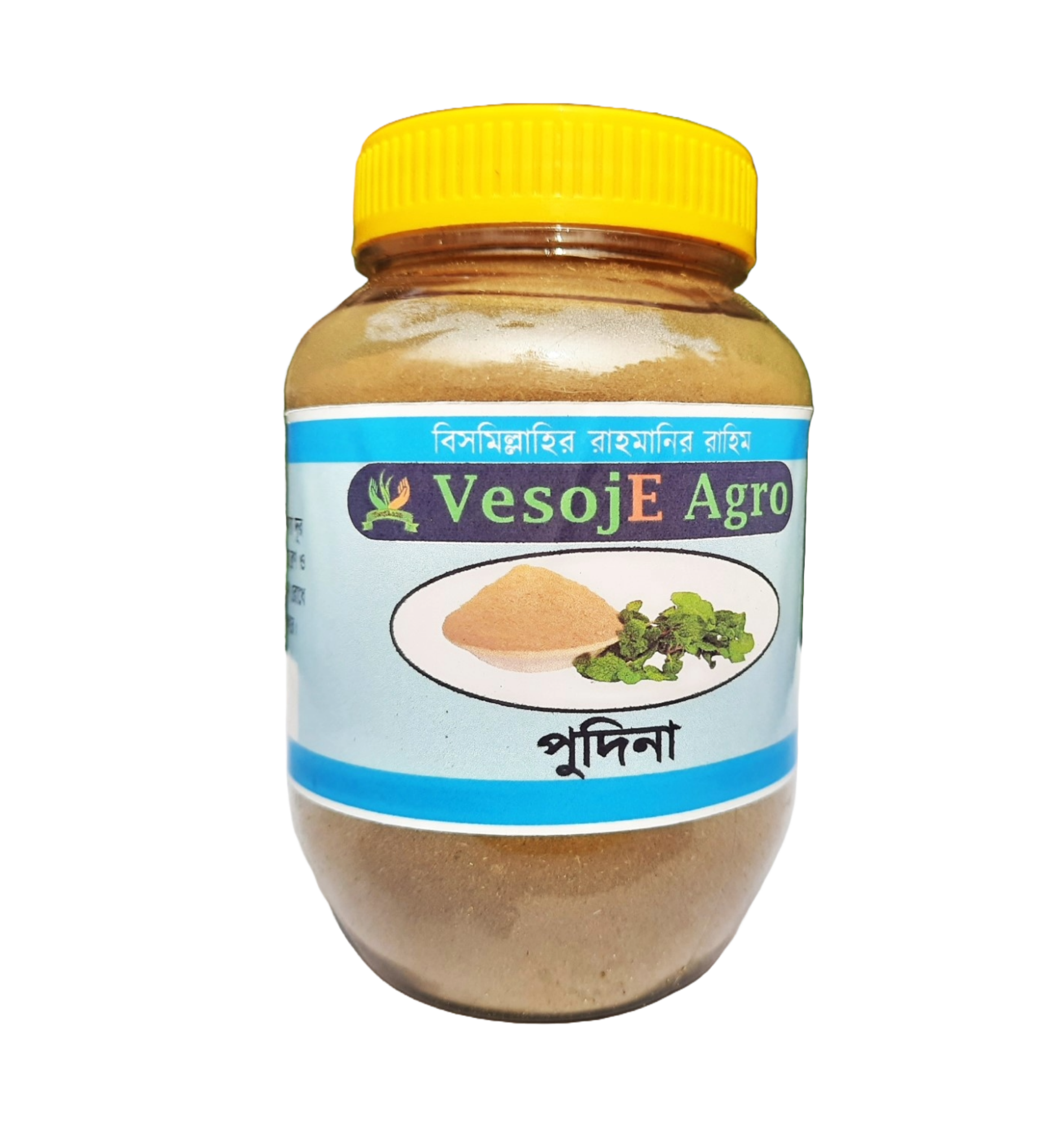 Mint/ Pudina powder ( পুদিনা গুড়া ) 100gm VesojE Agroonline shop bangladeshothoba.com