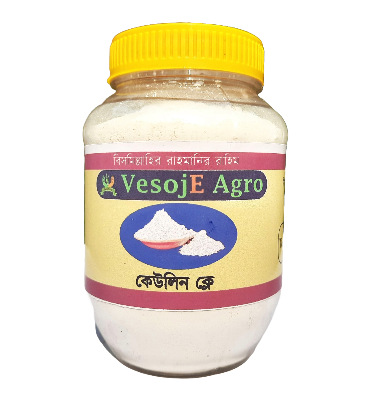 Kaolin Clay ( কেওলিন ক্লে ) - 100 gm VesojE Agroonline shop bangladeshothoba.com