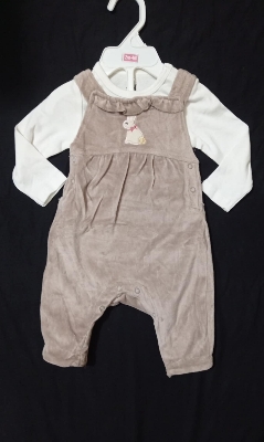 Picture of Single Pack Full Sleeve Bodysuit Baby Romper