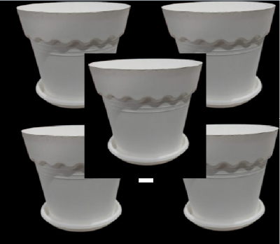 Picture of 6 Inchi White Mat Tob With Tray 5 pcs