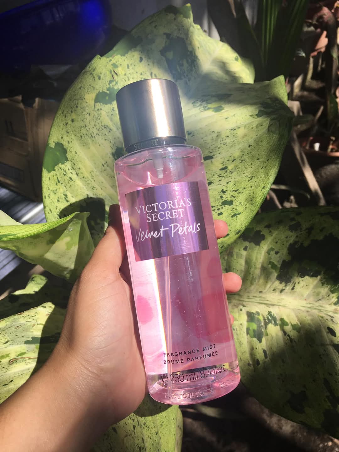 Picture of Victoria's Secret Velvet Petals Fragrance Mist,250ml