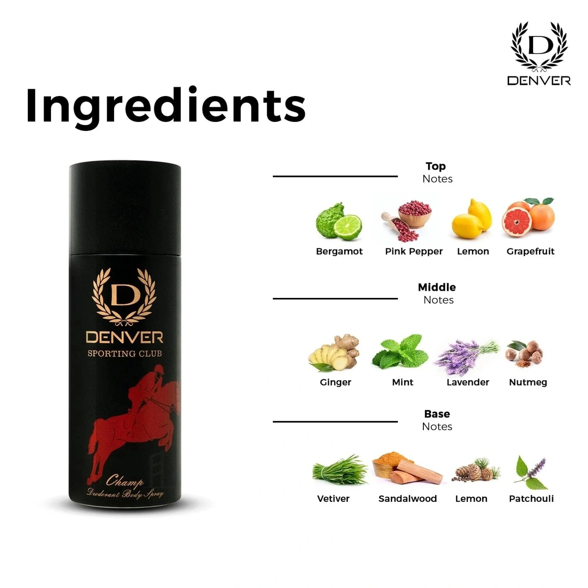 Picture of Denver hamilton sporting club champ deodorant body spray - for men 165ml