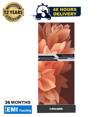 Picture of MYONE 165 liter Frost Type Top Mount  Dahlia Black Match Refrigerator (MY-1F5G)