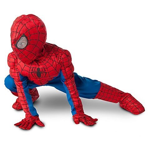 Picture of Kids Avengers New Spider Man Costume