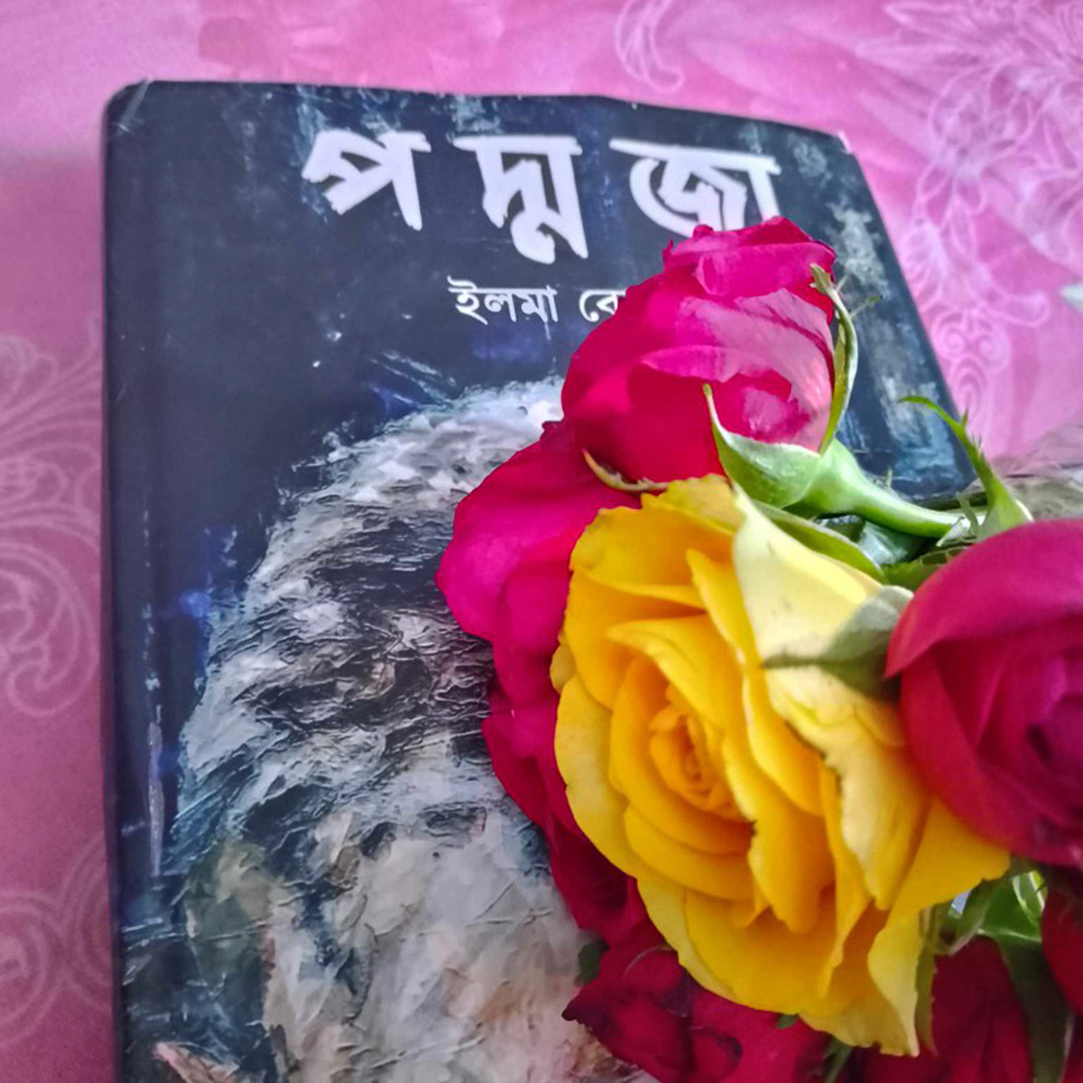 Picture of Poddoja by Elma Behrouz