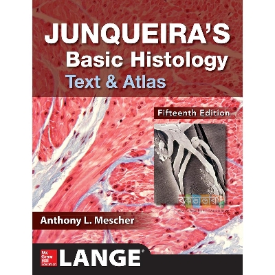 Picture of Junqueira's Basic Histology :Text & Atlas by- Anthony L. Mescher