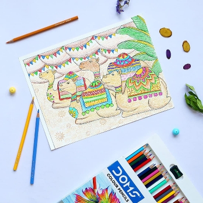 Picture of DOMS Fsc 24 Shades Colour Pencil