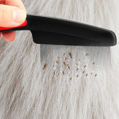 Picture of Cross-border hot selling 5-piece set of anti-dandruff comb stainless steel fine-tooth anti-dandruff comb anti-dandruff comb hollow tooth hairbrush scalp massage