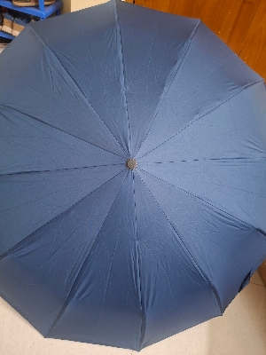 Picture of 12 Ribs High Quality  Umbrella Man and women Luxury 12Ribs Umbrella for Car Business Big Umbrella Sun Rain Women Parasol Windproof Folding -Umbrella