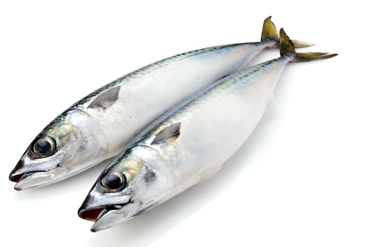 Picture of Fresh Sea Fish Chub Mackerel 500g ±50g