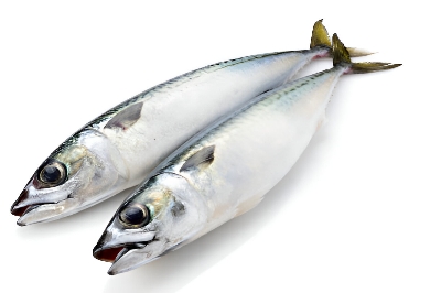 Picture of Fresh Sea Fish Chub Mackerel 500g ±50g