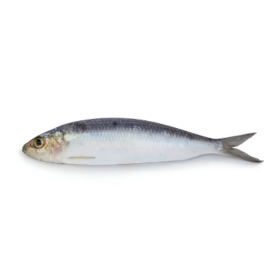 Picture of Fresh Sea Fish Sardine Chapila 500g ±50g