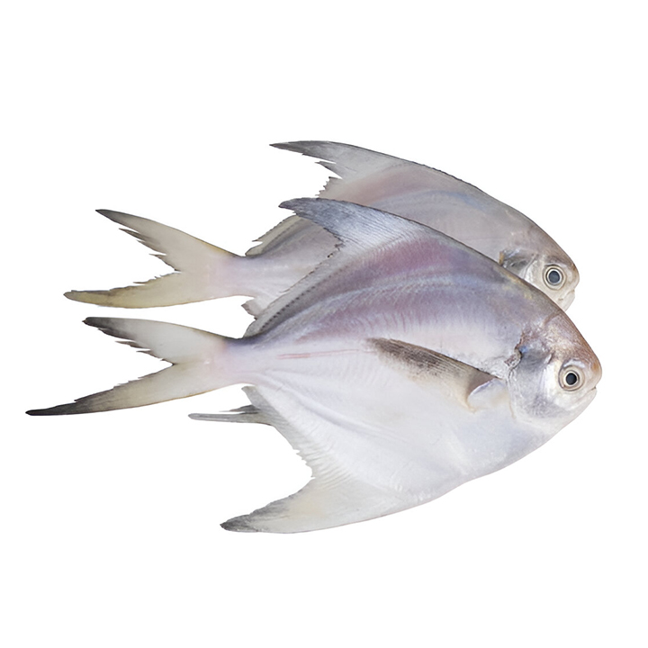 Picture of Fresh Sea Fish Rupchanda 1kg (8-10 Pcs) (Â±50g)