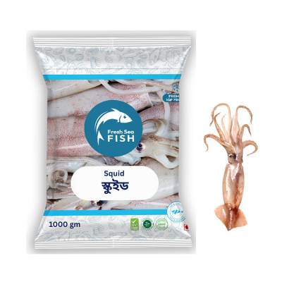 Picture of Fresh Sea Fish Squid (Whole) 1000g (20/40 Pcs) Export Grade (±50g)