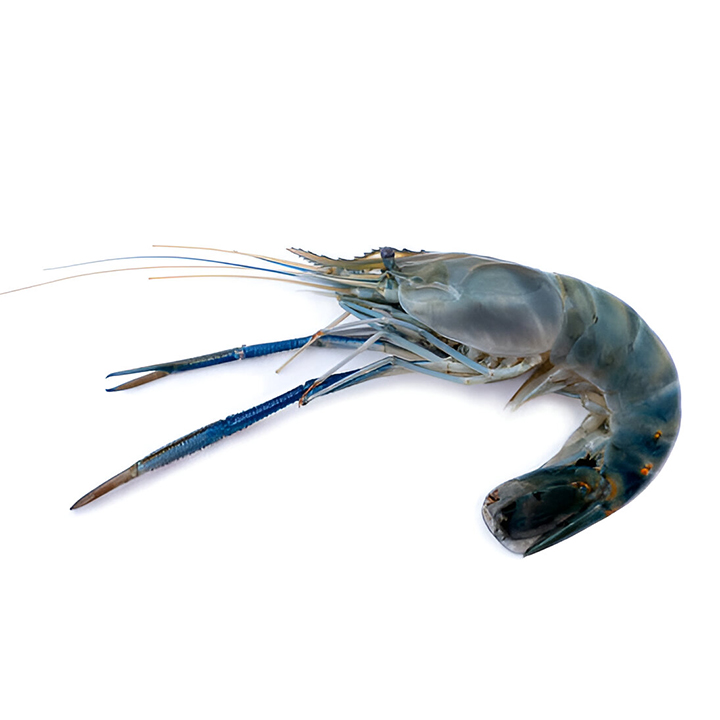 Picture of Golda Shrimp Head On Skin On Large 5- 6pcs 500g