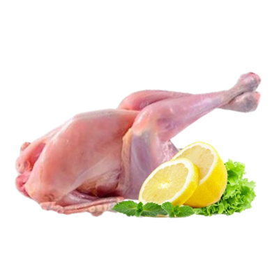 Picture of Taqwa Roast Chicken 275g - 300g