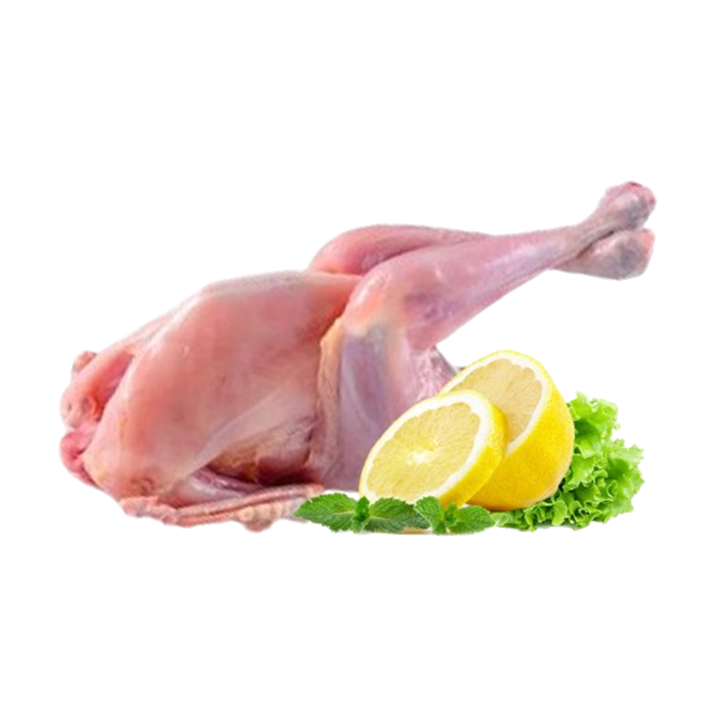 Picture of Taqwa Rooster Chicken (Dressed) 500g (1pc)