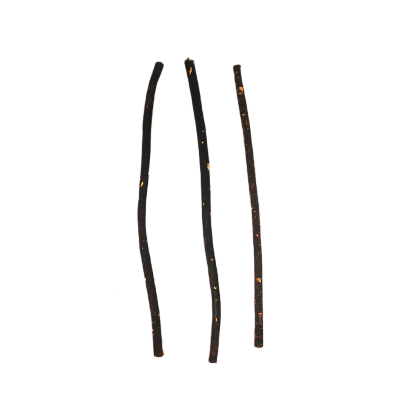 Picture of Zaitoon Fresh Herbal Miswak Natural Toothbrush Sticks-Healthy Eco Friendly Toothbrush - 3 pcs