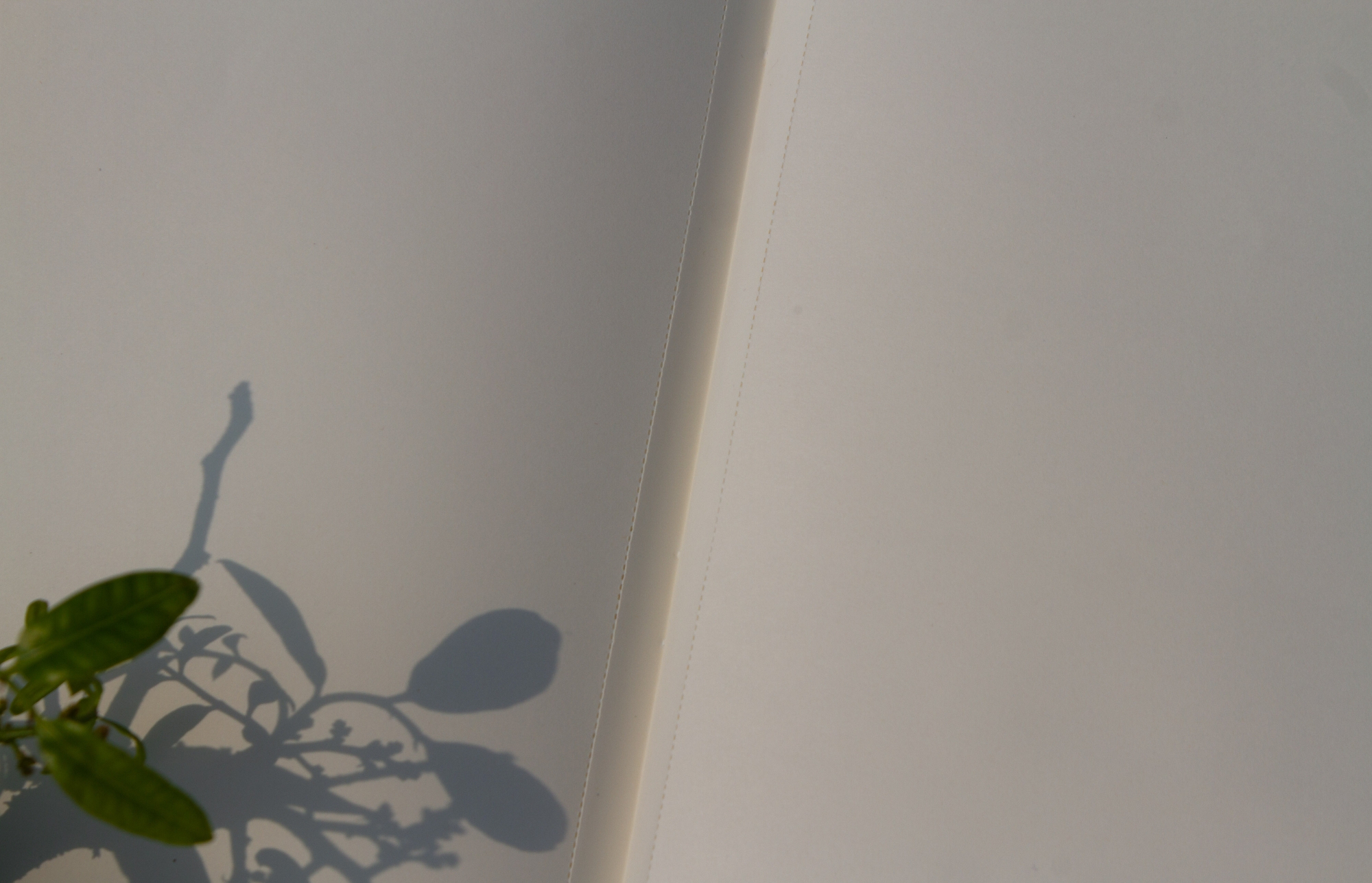 Picture of Dhaka Notebook (SN202008122)