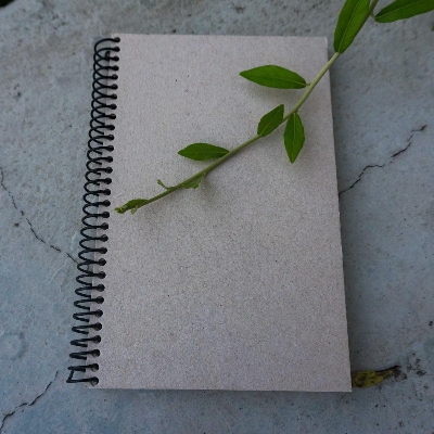 Picture of Travellers Notebook