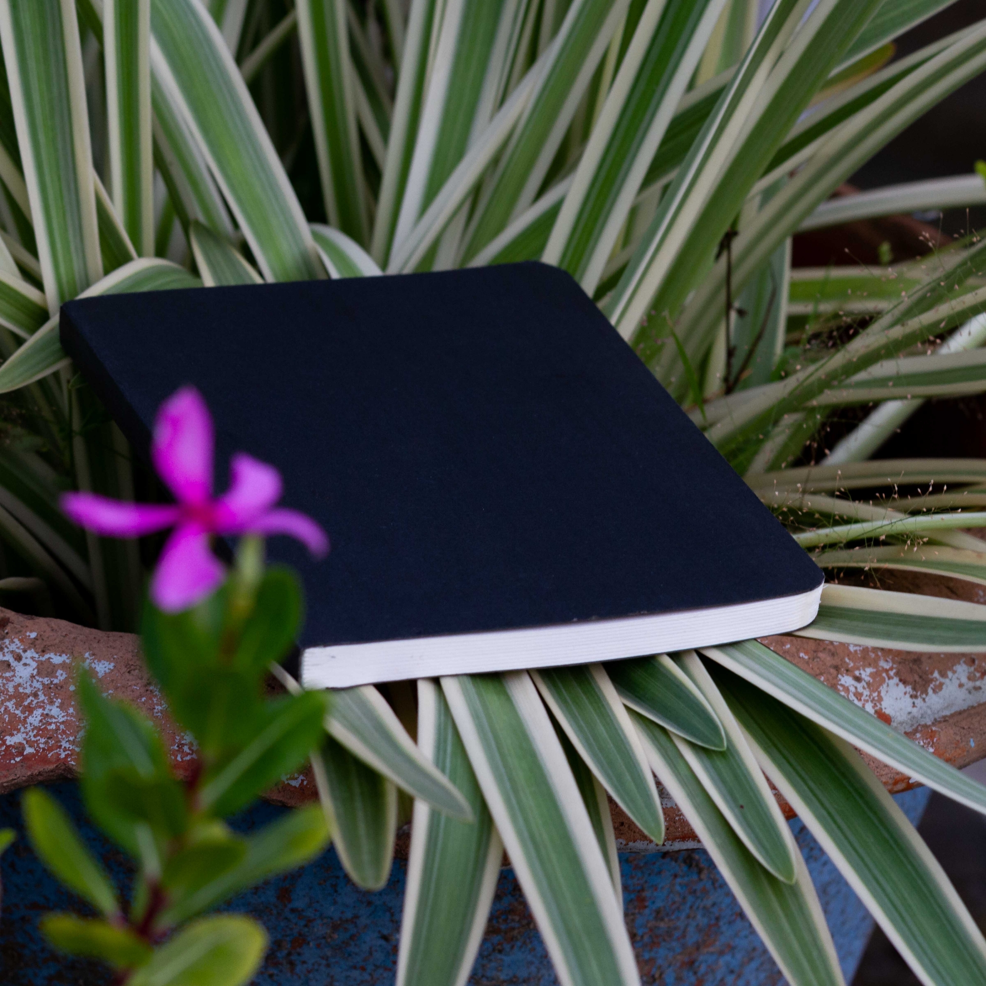 Picture of Pocket Series Black Notebook - Black Cover