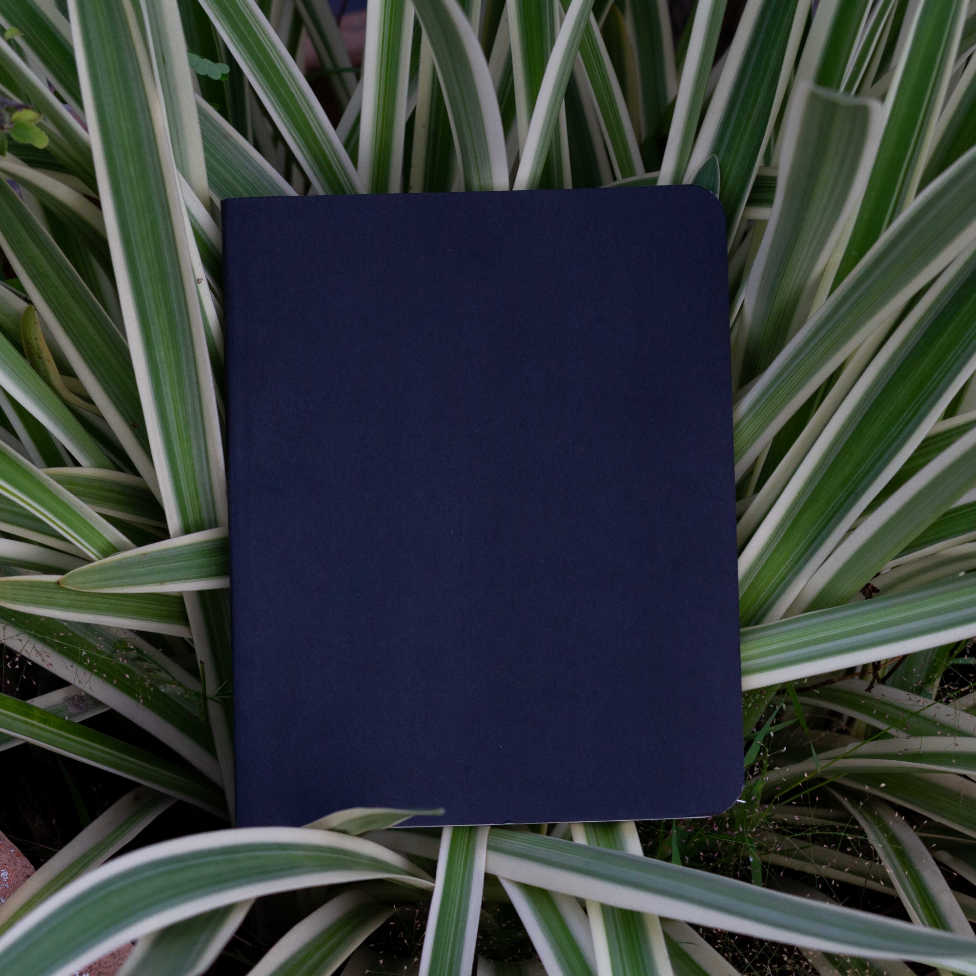 Picture of Pocket Series Black Notebook - Black Cover