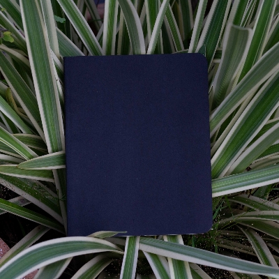 Picture of Pocket Series Black Notebook - Black Cover